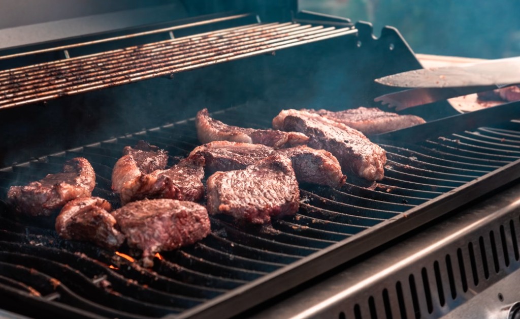 Churrasqueiras: Escolher a ideal para casa ou jardim 