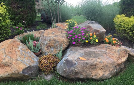 Como fazer um jardim em casa?